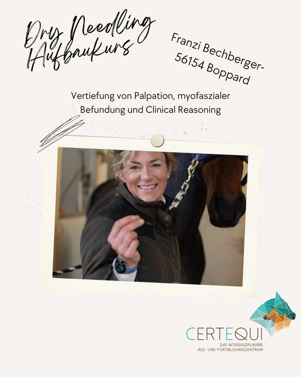 Aufbaukurs Dry Needling - Pferd