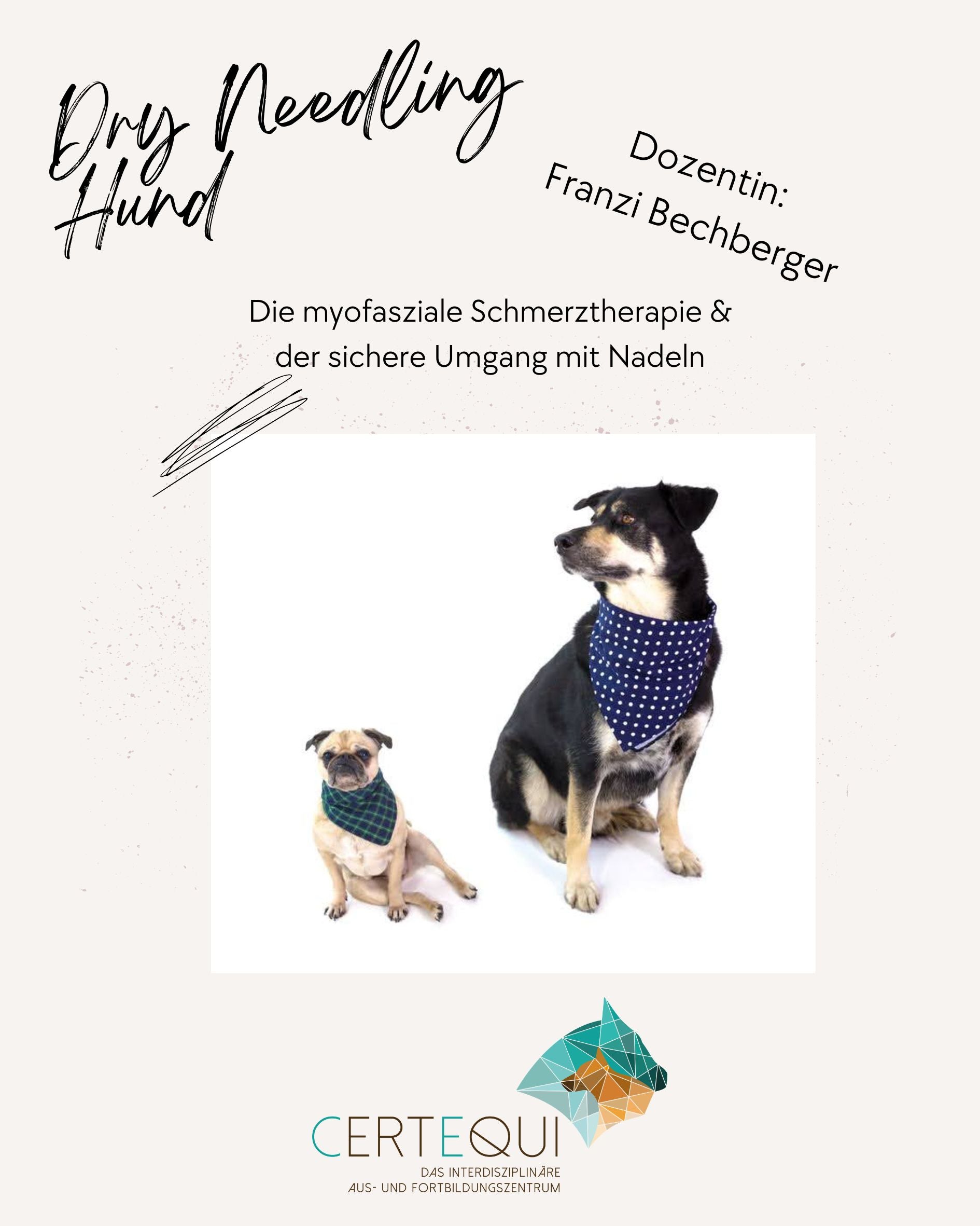 Dry Needling Hund