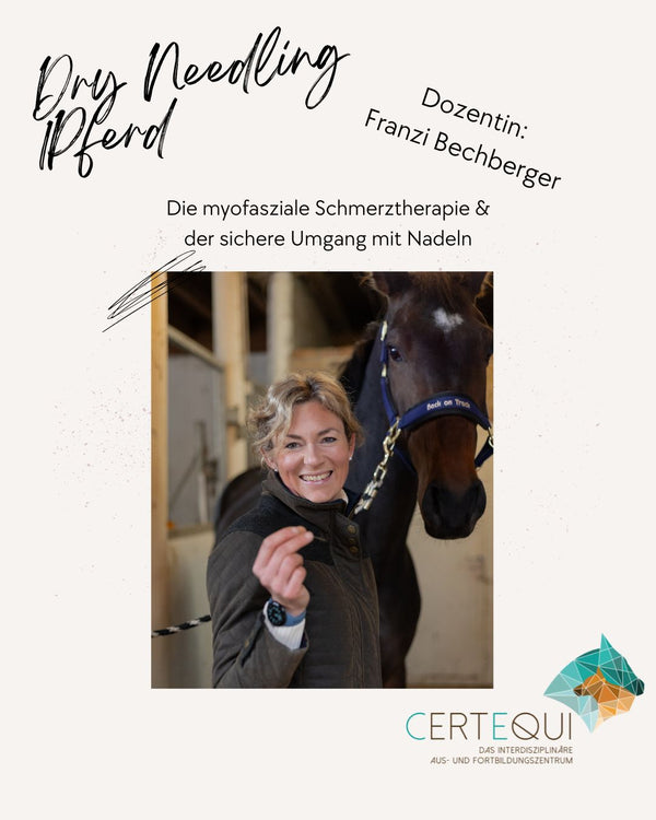 Dry Needling Grundkurs – Pferd