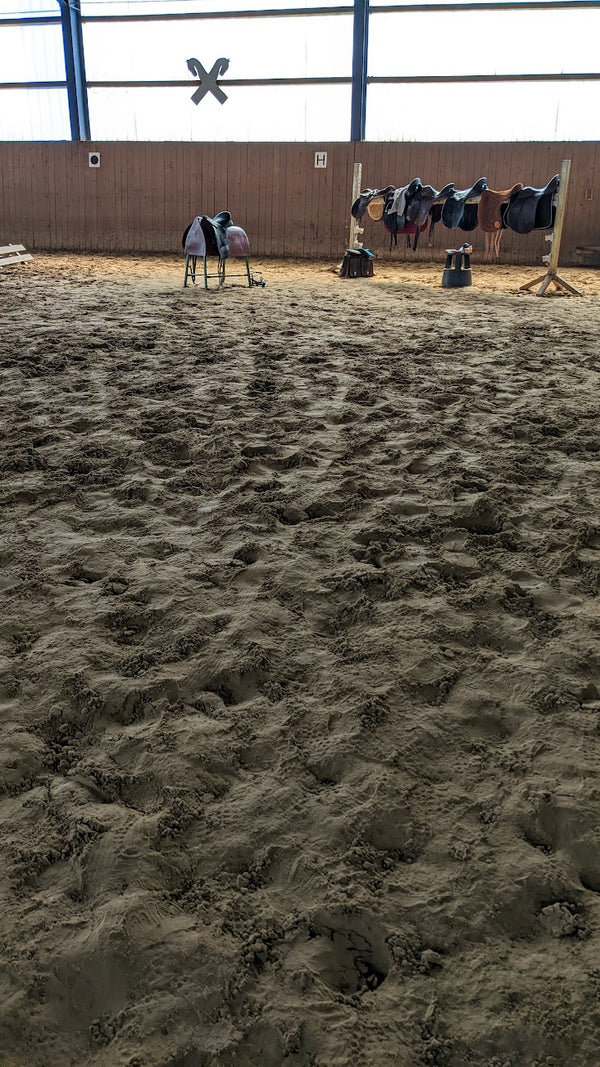 Sattel & Ausrüstung - 3 tägiger Kurs mit Maren Volker