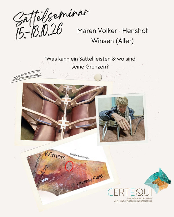 Sattelkurs 15.-18.10.26